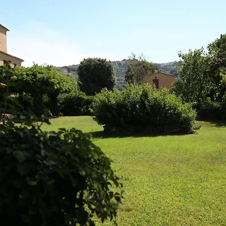 Il Vignone -